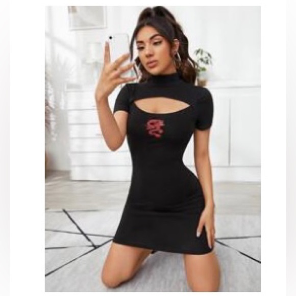 Dragon Print Dress - Picture 5 of 5